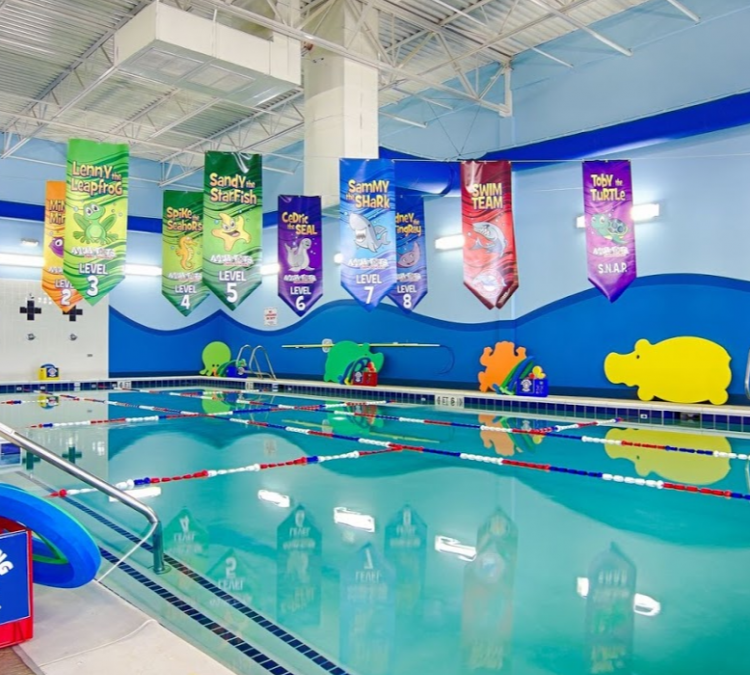 aqua-tots-swim-schools-gilbert-photo
